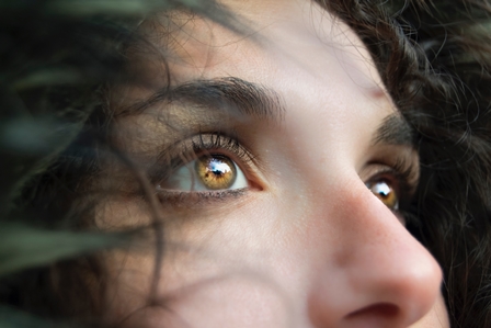 Trauma i resiliència en les III Jornades de Psicologia